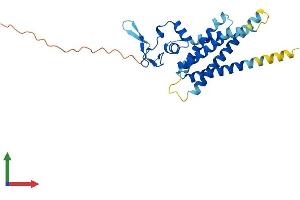 AlphaFold protein structure predicition of Human Recombinant ARV1 Protein, UniprotID Q9H2C2 (ARV1 Protein (AA 1-271) (His tag))