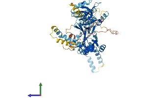 AlphaFold protein structure predicition of Mouse Recombinant Mpp3 Protein, UniprotID O88910 (MPP3 Protein (AA 1-568) (His tag))
