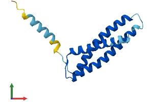 AlphaFold protein structure predicition of Human Recombinant TMEM170B Protein, UniprotID Q5T4T1 (TMEM170B Protein (AA 1-132) (His tag))