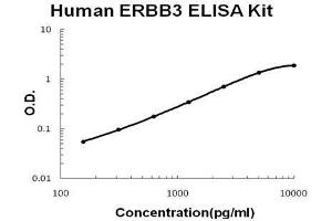 Human ERBB3/Her3 PicoKine ELISA Kit standard curve