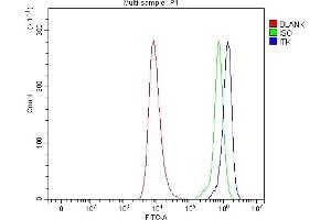 Flow Cytometry analysis of HEL cells using anti-ITK antibody (ABIN7601855). (ITK antibody  (AA 49-465))