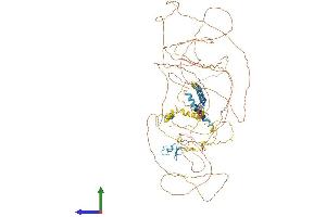 AlphaFold protein structure predicition of Human Recombinant ZC3H18 Protein, UniprotID Q86VM9 (ZC3H18 Protein (AA 1-953) (His tag))
