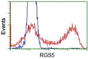 HEK293T cells transfected with either RC206857 overexpress plasmid (Red) or empty vector control plasmid (Blue) were immunostained by anti-RGS5 antibody (ABIN2454700), and then analyzed by flow cytometry. (RGS5 antibody)