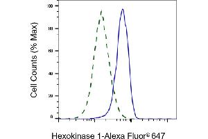 Validation of Hexokinase 1 knockdown using flow cytometry. (Recombinant Hexokinase 1 antibody)