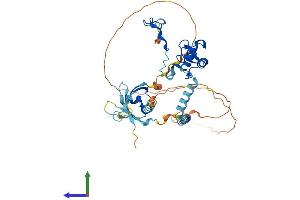 AlphaFold protein structure predicition of Mouse Recombinant Ring1 Protein, UniprotID O35730 (RING1 Protein (AA 1-406) (His tag))