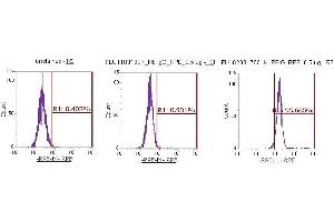 Flow Cytometry (FACS) image for anti-Peptidylprolyl Isomerase G (Cyclophilin G) (PPIG) (AA 1-175) antibody (PE) (ABIN5567270) (PPIG antibody  (AA 1-175) (PE))