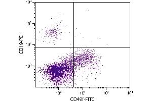 Human peripheral blood lymphocytes were stained with Mouse Anti-Human CD49f-FITC.