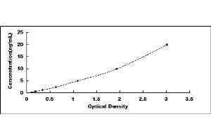 Typical standard curve (MUC1 ELISA Kit)