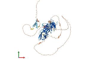 AlphaFold protein structure predicition of Human Recombinant GRHL2 Protein, UniprotID Q6ISB3