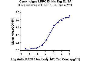 Immobilized Cynomolgus LRRC15, His Tag at 5 μg/mL (100 μL/Well) on the plate. (LRRC15 Protein (AA 22-538) (His tag))