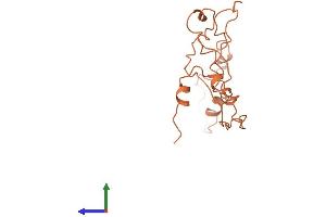 AlphaFold protein structure predicition of Human Recombinant KRTAP9-3 Protein, UniprotID Q9BYQ3