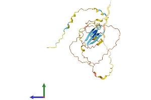 AlphaFold protein structure predicition of Human Recombinant PRR23B Protein, UniprotID Q6ZRT6 (PRR23B Protein (AA 1-265) (His tag))