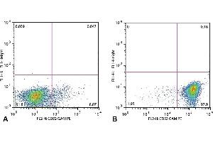 Flow cytometry analysis of CD52 in patients suffering with Acute Lymphoblastic Leukemia (anti-human CD52 (HI186), detection by Goat anti-mouse IgG2b PE). (CD52 antibody)