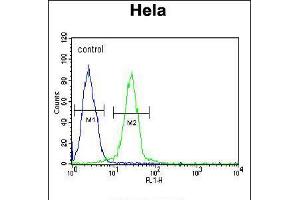Flow cytometric analysis of Hela cells (right histogram) compared to a negative control cell (left histogram). (EWSR1 antibody  (C-Term))