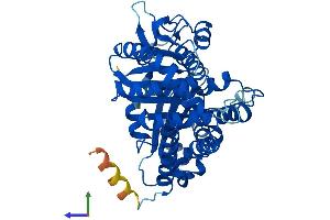 Protein Structure (PS) image for Tubulin, beta 6 (TUBb6) (AA 1-446) protein (His tag) (ABIN7544188)
