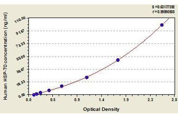 HSPA1B ELISA Kit