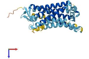 AlphaFold protein structure predicition of Human Recombinant OR9Q1 Protein, UniprotID Q8NGQ5 (OR9Q1 Protein (AA 1-310) (His tag))