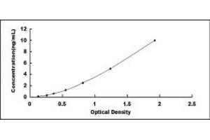 Typical standard curve (SYNPO2 ELISA Kit)