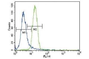 Flow Cytometry (FACS) image for anti-Parkinson Protein 2, E3 Ubiquitin Protein Ligase (Parkin) (PARK2) (AA 387-417) antibody (ABIN3032156)