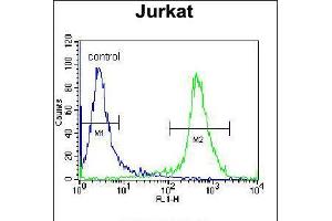 Flow Cytometry (FACS) image for anti-Protein tyrosine Phosphatase, Receptor Type, C (PTPRC) (AA 336-364), (N-Term) antibody (ABIN5533904)