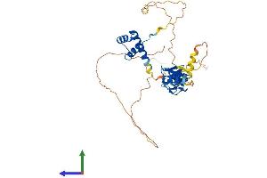 AlphaFold protein structure predicition of Mouse Recombinant Lhx2 Protein, UniprotID Q9Z0S2