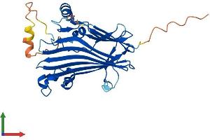 Protein Structure (PS) image for TIP41-like protein (TIPRL) (AA 1-272) protein (His tag) (ABIN7544440)