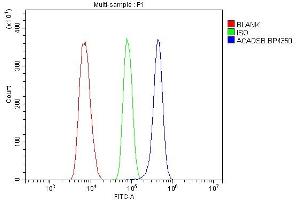 Flow Cytometry analysis of THP-1 cells using anti-SBCAD/ACADSB antibody (ABIN7602837). (ACADSB antibody  (C-Term))