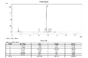 Image no. 2 for Fibroblast Growth Factor 8 (Androgen-Induced) (FGF8) (AA 23-215) (Active) protein (ABIN2017830)