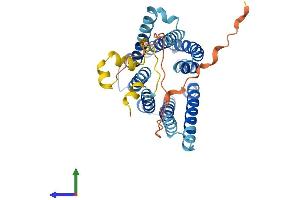 AlphaFold protein structure predicition of Human Recombinant TMEM185B Protein, UniprotID Q9H7F4 (TMEM185B Protein (AA 1-350) (His tag))