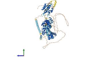 AlphaFold protein structure predicition of Human Recombinant KCNH1 Protein, UniprotID O95259 (KCNH1 Protein (AA 1-989) (His tag))
