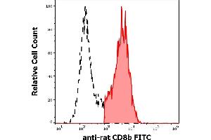 Separation of rat CD8b positive cells (red-filled) from CD8b negative cells (black-dashed) in flow cytometry analysis (surface staining) rat splenocyte suspension stained using anti-rat CD8b (341) FITC antibody (concentration in sample 1 μg/mL). (CD8B antibody  (FITC))