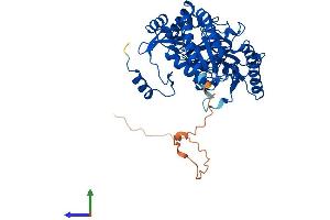 Protein Structure (PS) image for Alanine-Glyoxylate Aminotransferase 2-Like 1 (AGXT2L1) (AA 1-499) protein (His tag) (ABIN7558975)