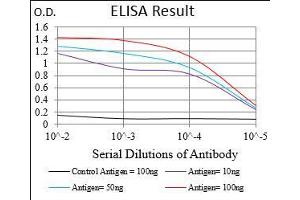 Black line: Control Antigen (100 ng), Purple line: Antigen(10 ng), Blue line: Antigen (50 ng), Red line: Antigen (100 ng), (ROR2 antibody  (AA 59-155))