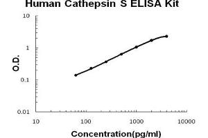Human Cathepsin S PicoKine ELISA Kit standard curve