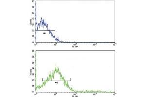 Flow cytometric analysis of NCI-H292 cells using ROR2 antibody (green) compared to a negative control (blue). (ROR2 antibody  (AA 19-50))