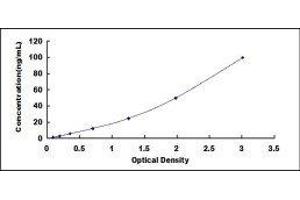 Histatin 3 (HTN3) ELISA Kit
