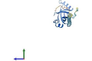 AlphaFold protein structure predicition of Mouse Recombinant Cbfb Protein, UniprotID Q08024 (CBFB Protein (AA 1-187) (His tag))