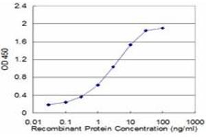 Detection limit for recombinant GST tagged ATP4B is approximately 0. (ATP4b antibody  (AA 67-176))