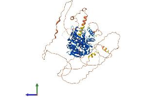 AlphaFold protein structure predicition of Mouse Recombinant Dennd1c Protein, UniprotID Q8CFK6