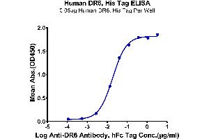 Immobilized Human DR6, His Tag at 0. (TNFRSF21 Protein (AA 42-349) (His tag))