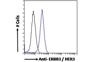 ABIN185461 Flow cytometric analysis of paraformaldehyde fixed MCF7 cells (blue line), permeabilized with 0. (ERBB3 antibody  (C-Term))