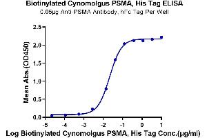 Immobilized Anti-PSMA Antibody, hFc Tag at 0. (PSMA Protein (AA 44-750) (His tag,Biotin))