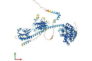 AlphaFold protein structure predicition of Human Recombinant PDE5A Protein, UniprotID O76074 (PDE5A Protein (AA 1-875) (His tag))