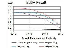 Black line: Control Antigen (100 ng), Purple line: Antigen(10 ng), Blue line: Antigen (50 ng), Red line: Antigen (100 ng), (ENO2/NSE antibody  (AA 251-433))