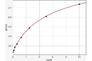 LRP1 ELISA Kit