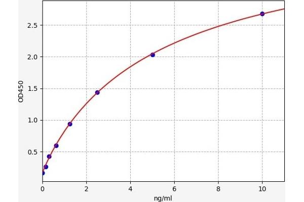 LRP1 ELISA Kit