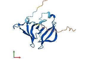 AlphaFold protein structure predicition of Human Recombinant FAM72C Protein, UniprotID H0Y354 (FAM72C Protein (AA 1-149) (His tag))