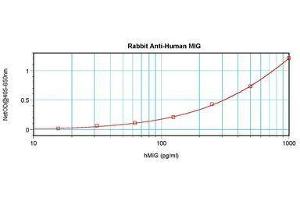 Image no. 3 for anti-gamma-Interferon-Induced Monokine (CXCL9) antibody (ABIN465878) (CXCL9 antibody)
