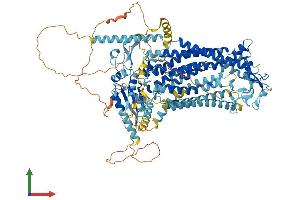 AlphaFold protein structure predicition of Mouse Recombinant Ano2 Protein, UniprotID Q8CFW1