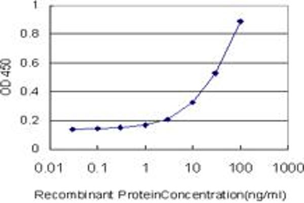 MEF2BNB antibody  (AA 1-109)